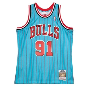 CHICAGO BULLS DENNIS RODMAN MITCHELL & NESS 1995-96 HWC SWINGMAN BLUE JERSEY MEN - Picture 1 of 4