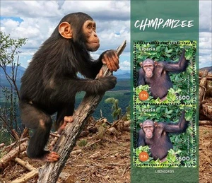 2024 05 - LIBERIA - CHIMPANZEE I 2V complet set MNH ** - Picture 1 of 1