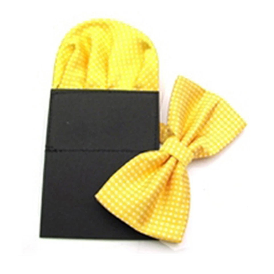 Pañuelo de pajarita preatado para hombre pañuelo cuadrado de bolsillo lunares conjunto de pajarita  Foto 1 de 1