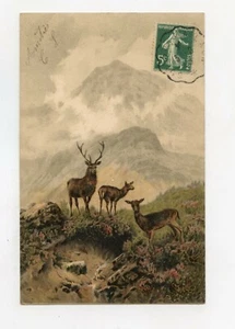 Cute Landscape With Deer And Deer - Bild 1 von 2
