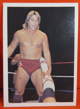 1987 WONDERAMA TERRY TAYLOR NWA WRESTLING CARD "RARE TEST RUN" MINT!!!