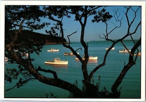 Bucks Harbor, Washington County, Maine Postcard - Picture 1 of 2