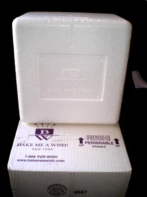 Insulated Foam Container Thermo Chill Mailer with Shipping Box - Image 1 of 4