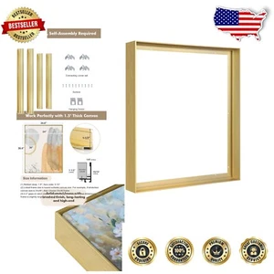 Durable 20x40" Canvas Floater Frame in Brushed Gold - Wall Mount Art Display - Picture 1 of 11