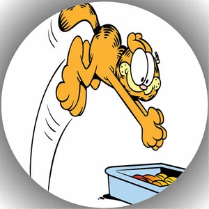 Ostia per torta compleanno festa immagine torta fondente - cialda Garfield P26 - Foto 1 di 1