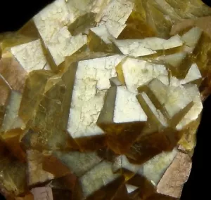 ANDRADITE var. TOPAZOLITA Cristales Lustrosos EE. UU. Arizona Quartzite Mountain ph835 - Imagen 1 de 16