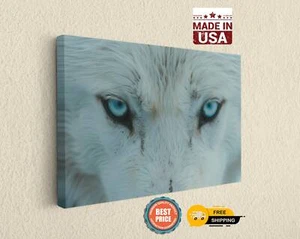 Blue Eyed Wolf on Canvas Print Animal Poster Stylish, Home Decor, Wall Hangings - Picture 1 of 8