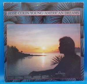 Jesse Colin Young LP "American Dreams" BX15 - Imagen 1 de 5