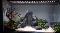 25 kg NATURAL DARK GREY STONE FOR AN AQUARIUM, AQUASCAPING ,IWAGUMI STYLE MALAWI