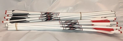 Beman ICS 20" Crossbow Bolts Half Moon Nocks 12 Pack - Image 1 of 2