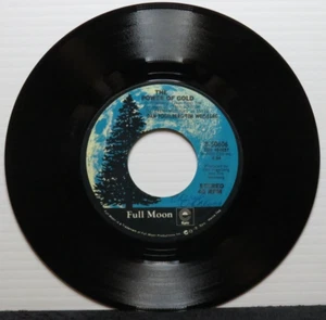 DAN FOGELBERG THE POWER OF GOLD/LAHAINA LUNA (VG+) 8-50606 45 RECORD - Picture 1 of 2