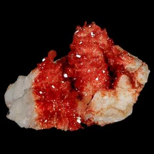1.8" Sparkly Red Vanadinite Crystals On White Barite Blades Mineral Mabladen - Imagen 1 de 5