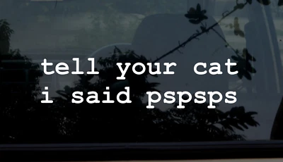 Dile a tu gato que dije pspsps® calcomanía adhesiva coche diversión hi cat lover regalo CALIDAD Foto 1 de 4