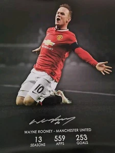 Wayne Rooney Manchester United Soccer Legend Signed 18 X 22 Inch Print COA - Bild 1 von 9
