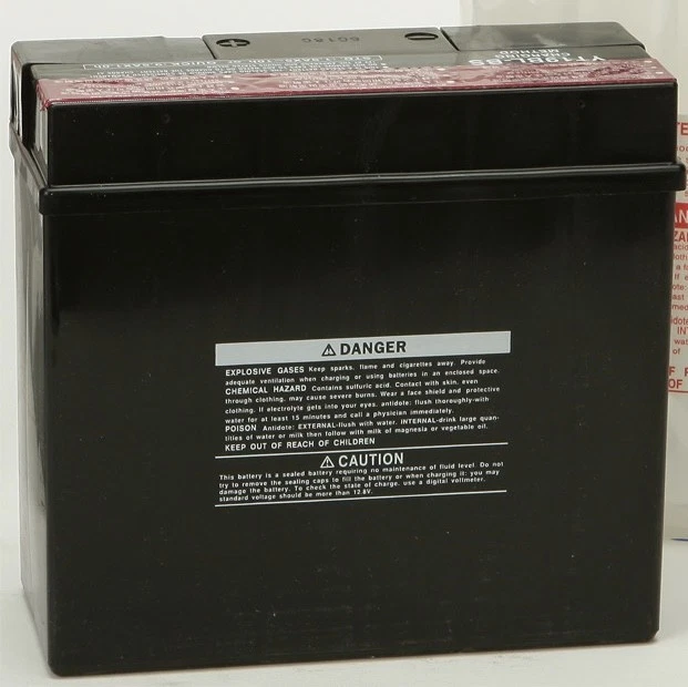 Batería Yuasa Alto Rendimiento Libre de Mantenimiento YT19BL-BS YUAM6219BL Foto 1 de 1