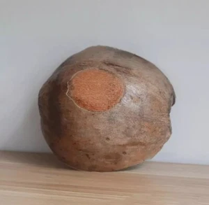 Natural Coconut Shell Halves Natural 2-5 Shell (Case pack 2) Free Shipping w - Picture 1 of 5