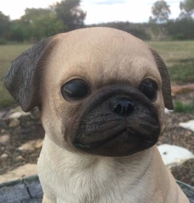 17cm Sitting Cute Pug Ornament - image 1 of 4