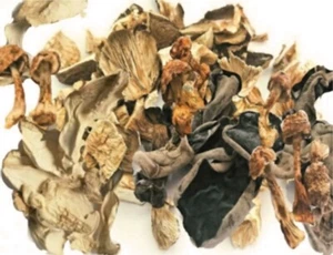 Bio Pilze getrocknet Mischpilze 100g Vitalpilze 3 Sorten Vitalpilz DE-ÖKO-006 ! - Bild 1 von 4