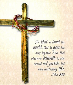 For God so loved Throw Plush John 3:16  Cross Full Body Gift KJV - Picture 1 of 2