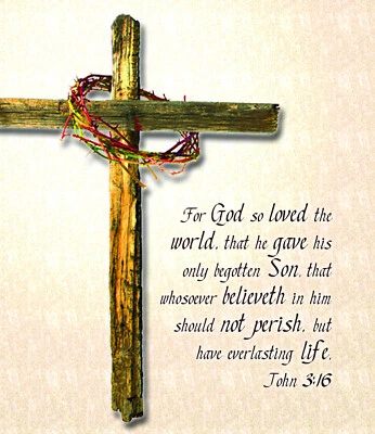 For God so loved Throw Plush John 3:16  Cross Full Body Gift KJV - Image 1 of 2