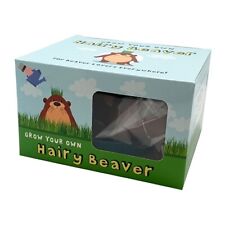 Diabolical Gifts DP1255 Grow Your Own Hairy Beaver *Brand New* *FREE P&P*