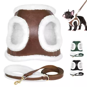 Winter Fleece Hundegeschirr und Leine Warme Welpenweste Mantel Chihuahua Mops - Bild 1 von 23