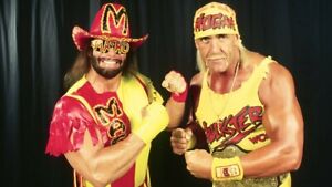 HOGAN/SAVAGE THE MEGA POWERS OF PRO WRESTLING DVD 