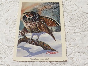 VINTAGE POSTCARD  USA PENNSYLVANIA STATE BIRD RUFFED GROUSE ART  KEN HAAG