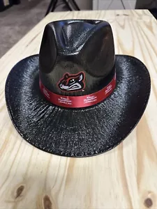 Richmond Squirrels Kings Dominion Cowboy Werbemütze - Bild 1 von 5