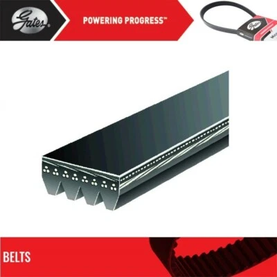 Gates Water Pump & Alternator Belt For 1989-1991 DODGE SPIRIT L4- 2.5L - Image 1 of 4