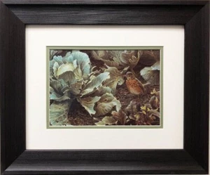 Robert Bateman "Summer Garden - Young Robin" GERAHMT Kunst Natur Wildlife Vogel '87 - Bild 1 von 3