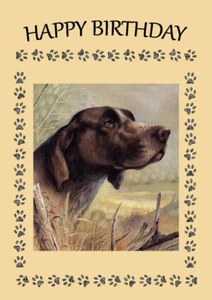 GERMAN SHORTHAIRED POINTER HEAD STUDY DOG  BIRTHDAY GREETINGS NOTE CARD  - Picture 1 of 1