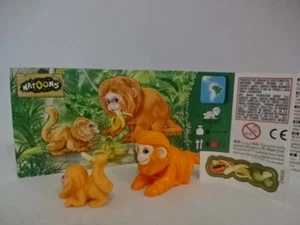 2019 - DV-020 - Fütterungszeit - Affe + 03.2019 BPZ - Bild 1 von 1