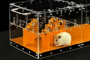 ™ Laberinto Pequeño para Mascotas (V1) - Laberinto Innovador para Hámsters, Ratas, Ratones, Jerbos, un... - Imagen 1 de 8