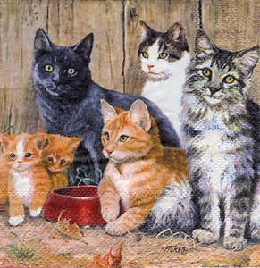 3 Cocktail Servietten ~ Tiere, Katzen und Kätzchen verschiedener Rassen ~ 25x25 - Bild 1 von 2