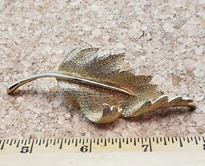 Beautiful Vintage Leaf Brooch Pin Brushed Gold Tone by CORO 3D Curling leaf XL - Picture 1 of 3