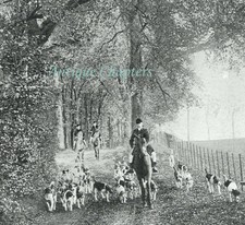 Old Berkeley West Hunt Meet 1907 Photo Article F982
