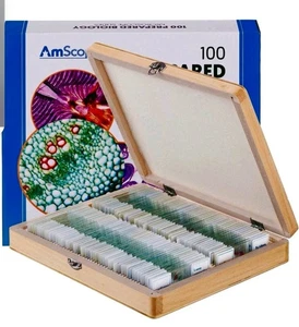 AmScope PS100A 100 PC Microscopio Biológico Preparado Diapositivas de Vidrio NUEVO en Caja - Imagen 1 de 4