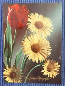 Old Postcard Ak Art Map Tulip Frohes Pentecost 50er Years - Picture 1 of 2