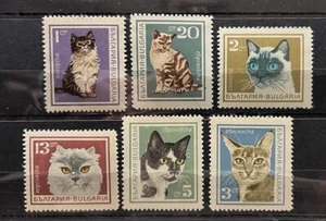 Bulgaria - Gatti - francobolli - Timbri - MNH** AM1 - Foto 1 di 1
