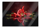 Feurige Rote Chili-Schoten Kunst Glasbild Aus Echtglas, Inkl. Wandhalterung