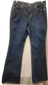 VIntage Jeanstar Premium Denim, Blue Highrise Bootcut Jeans 12, Embroidery (10) - Picture 1 of 7