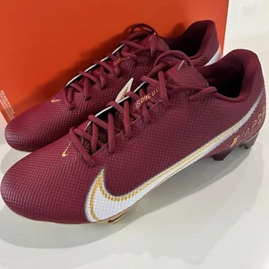 Florida State Nike Vapor Edge Speed 360 Cleats  DA8733-601 Men's Size 12 Wide - Picture 1 of 10