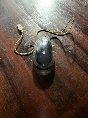 Vintage-Sammlerstück: Apple Pro Mouse M5769 (Schwarz) - Selten! - Bild 1 von 3