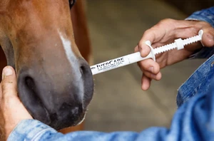 New In Box Paste Horse Dewormer wormer Apple Flavor 1.87% Iver farn - Picture 1 of 2