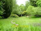 Photo 6X4 Ornamental Garden At Knockie Loch Nan Lann Small Corner Of Gard C2008