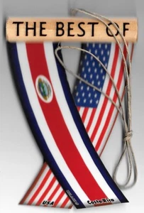 Rear view mirror car flags Costa Rica and USA unity flagz for inside the car - Picture 1 of 8