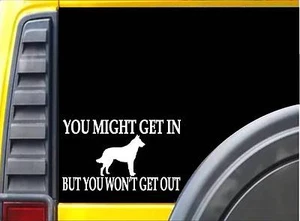 Belgian Malinois You Might Get In L226 Inch sticker Schutzhund dog decal - Picture 1 of 1