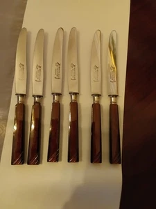 Vintage HERDER & CO. SOLINGEN OHLIGS 6 Obstmesser Edelstahl mit Bakelit Griff - Bild 1 von 4