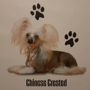 CHINESE CRESTED DOG BREEDS PROFILE DESIGNS SHIRT (FRONT PRINT ONLY) - Picture 1 of 3